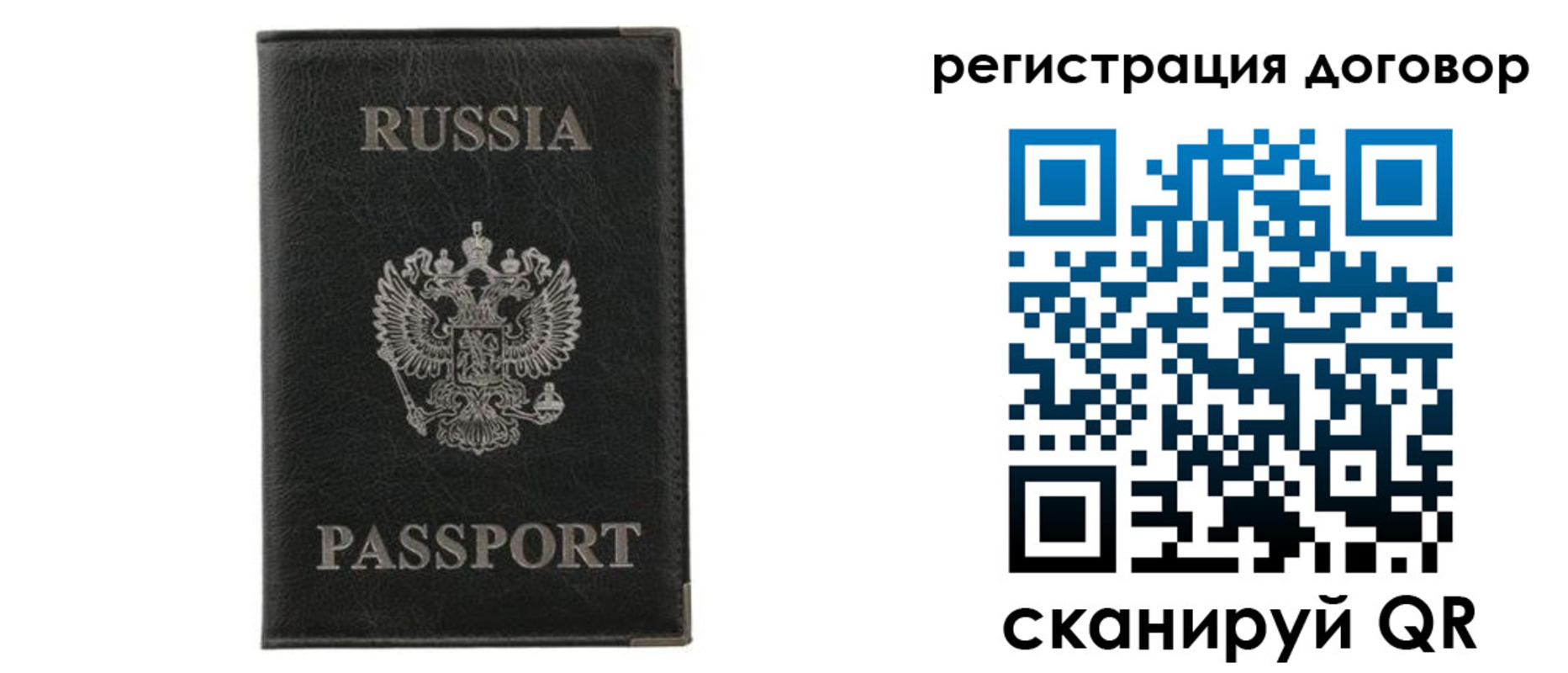 прописка гарантия в Кингисеппе